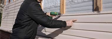 Best Historical Building Siding Restoration  in Piru, CA